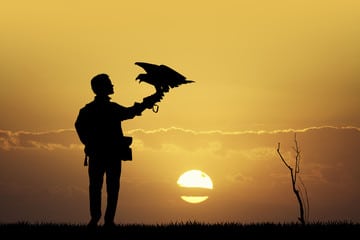 foto al tramonto con un addestratore di aquile e un aquila al guanto